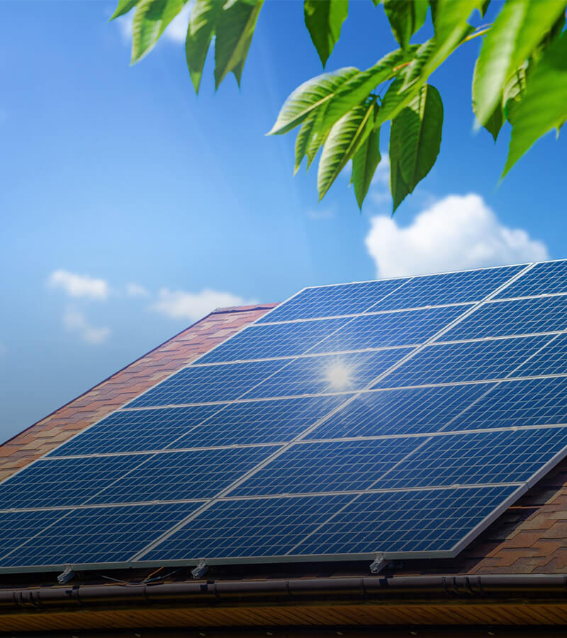 [box=text-white]Illumina il Futuro[/box]