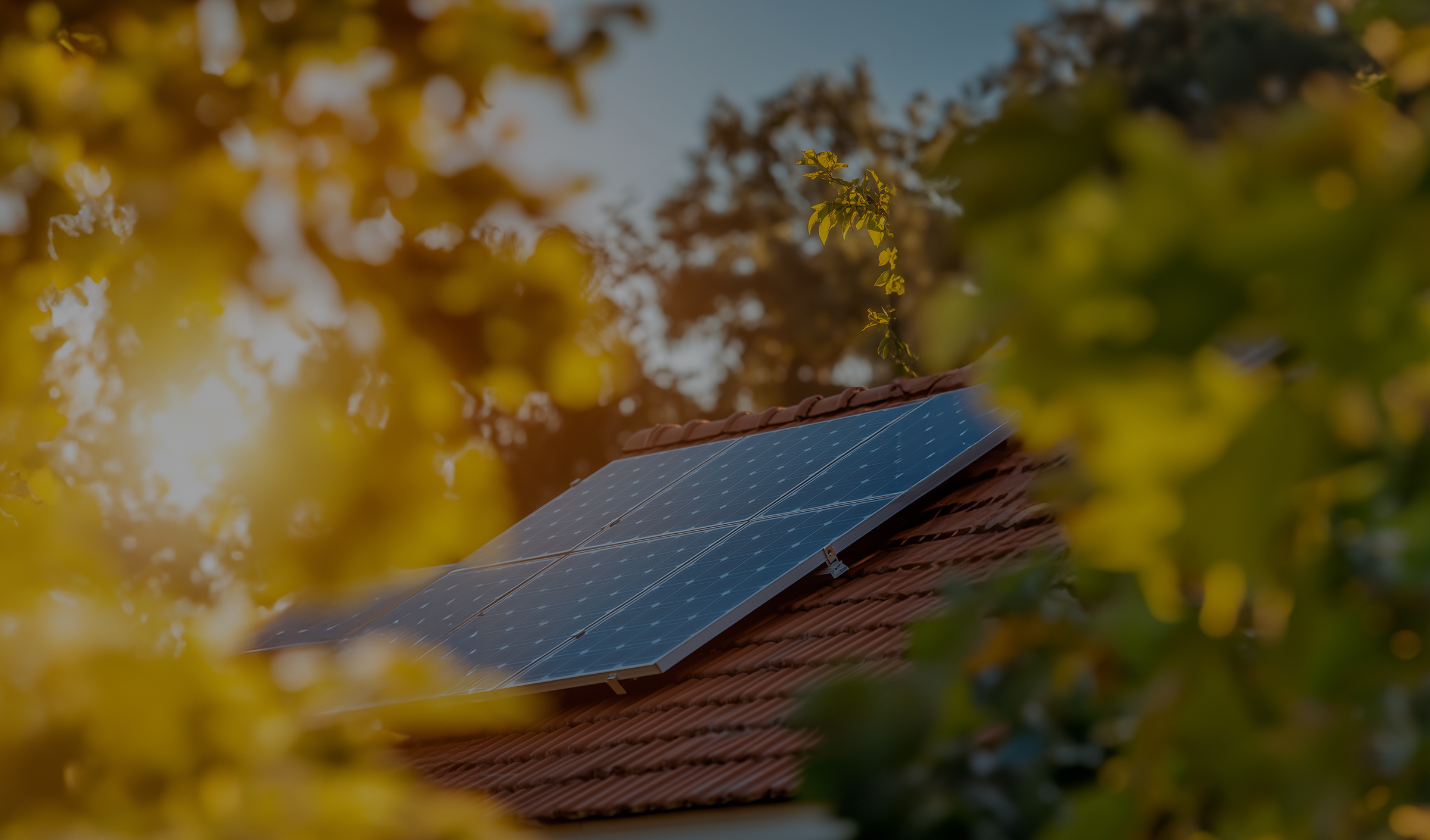 La soluzione green per la tua casa: 