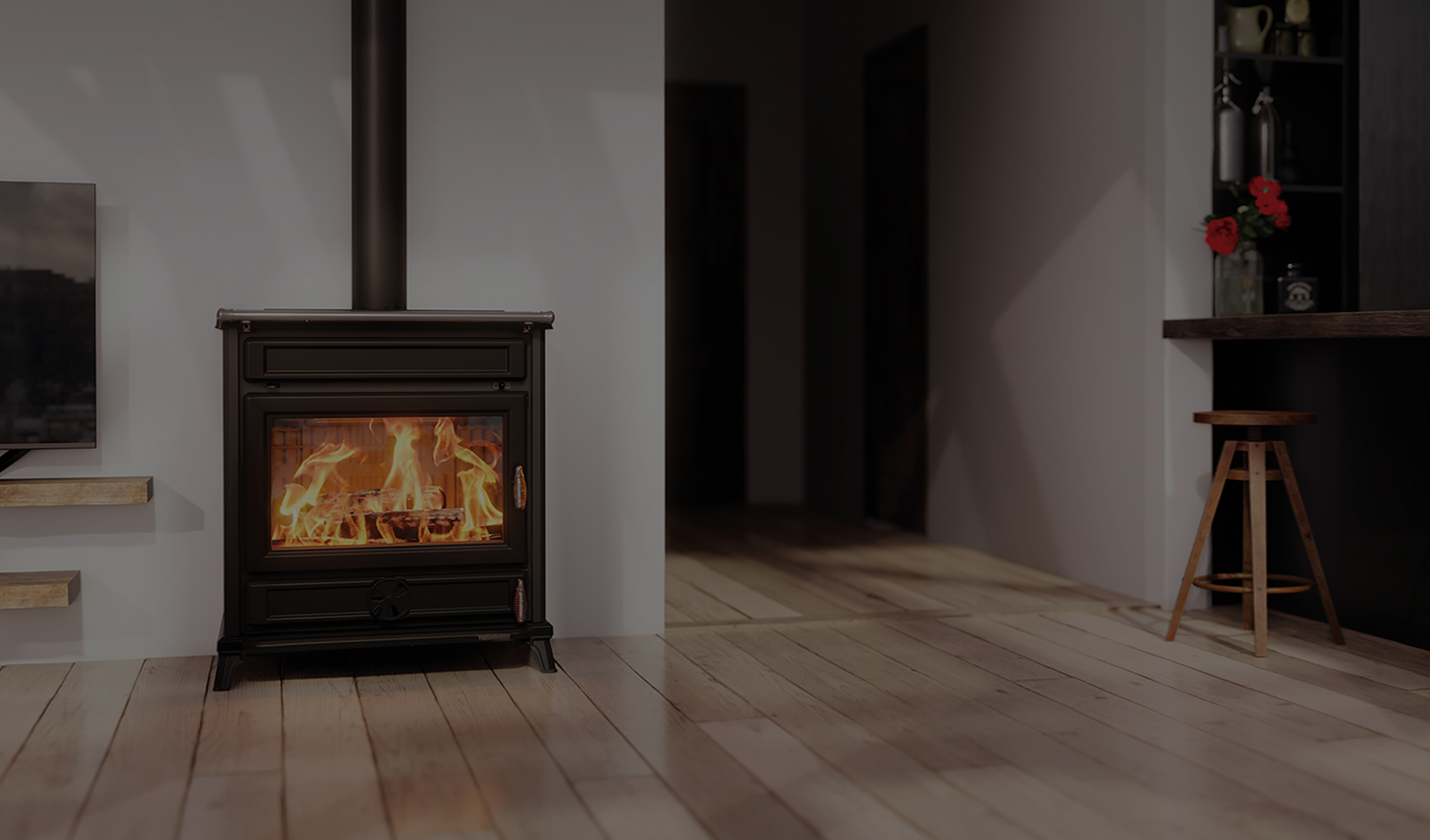 Offerta Stufa a Legna Thermorossi Agorà
€ 110,00 / mese